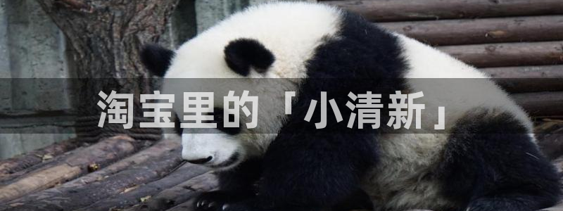香蕉文化一漫画