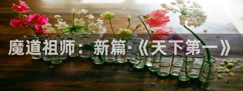 香蕉漫画小说：魔道祖师：新篇·《天下第一》