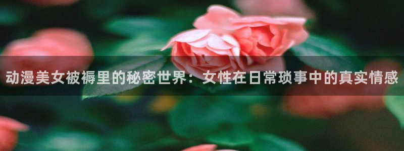 香蕉文化漫画资源：动漫美女被褥里的秘密世界：女性在日常琐事中的真实情感