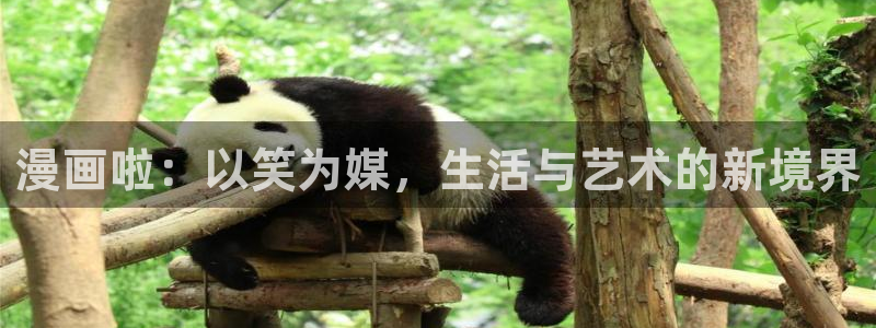 香蕉文化 漫画：漫画啦：以笑为媒，生活与艺术的新境界