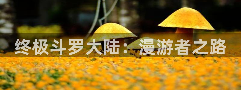香蕉漫画书的下拉式阅读功能怎么开：终极斗罗大陆：漫游者之路