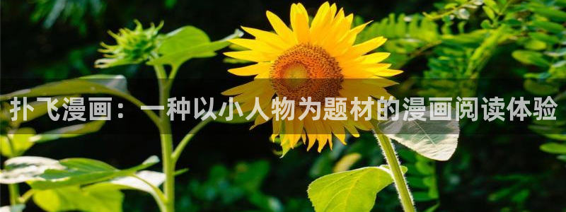 香蕉文化——漫画小说更新：扑飞漫画：一种以小人物为题材的漫画阅读体验