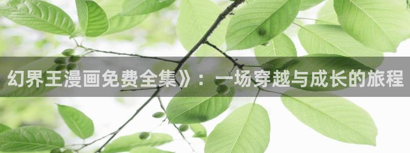 香蕉漫画小说：幻界王漫画免费全集》：一场穿越与成长的旅程