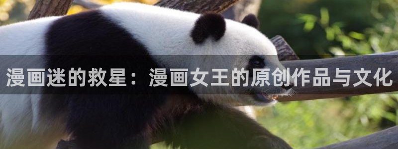 香蕉漫画在线观看入口免费