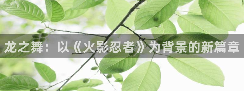 香蕉漫画18：龙之舞：以《火影忍者》为背景的新篇章