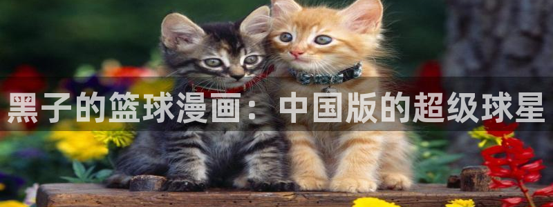 香蕉漫画如何获得阅读币：黑子的篮球漫画：中国版的超级球星