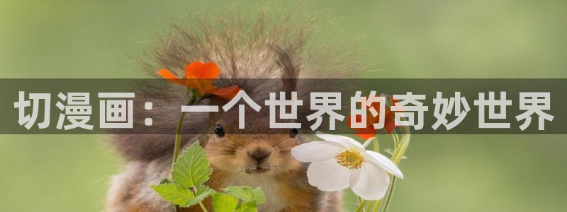 秘密教学香蕉漫画