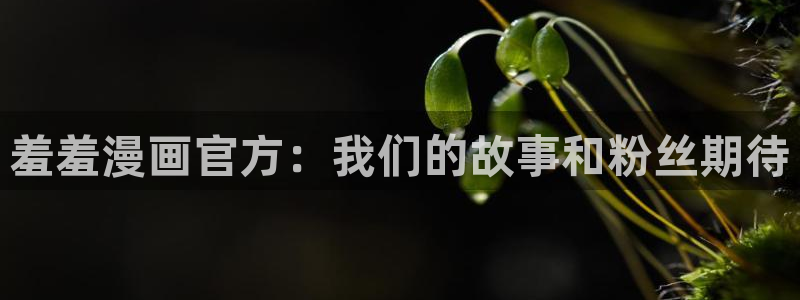 香蕉文化漫画入口网站：羞羞漫画官方：我们的故事和粉丝期待