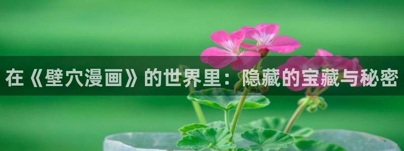 香蕉漫画书阅读下拉式2025：在《壁穴漫画》的世界里：隐藏的宝藏与秘密
