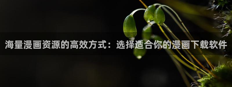 香蕉漫画在线免费：海量漫画资源的高效方式：选择适合你的漫画下载软件
