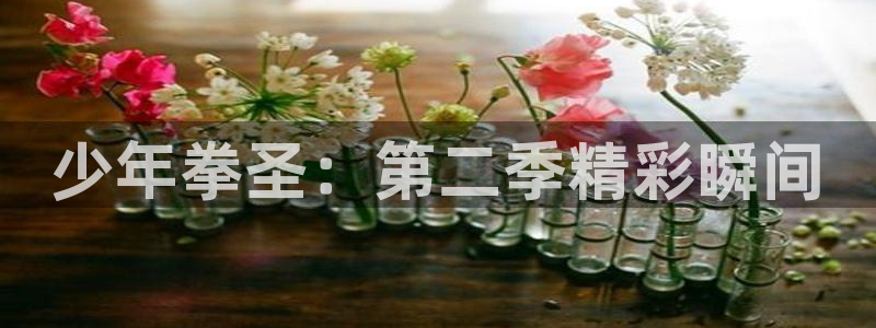 香蕉漫画无删减：少年拳圣：第二季精彩瞬间