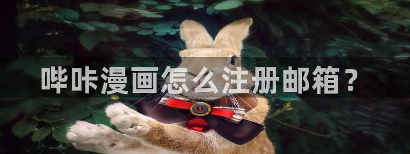香蕉漫画平台：哔咔漫画怎么注册邮箱？